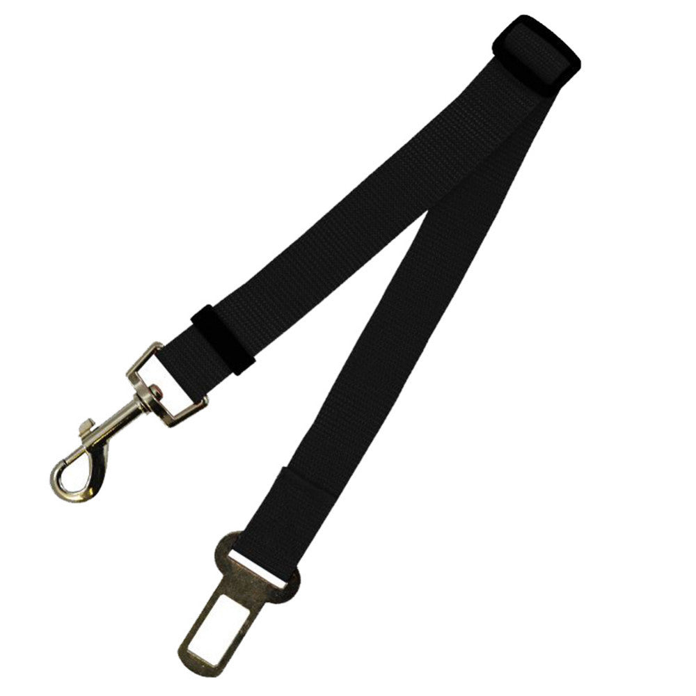 Correa de poliéster de correa fija para perro