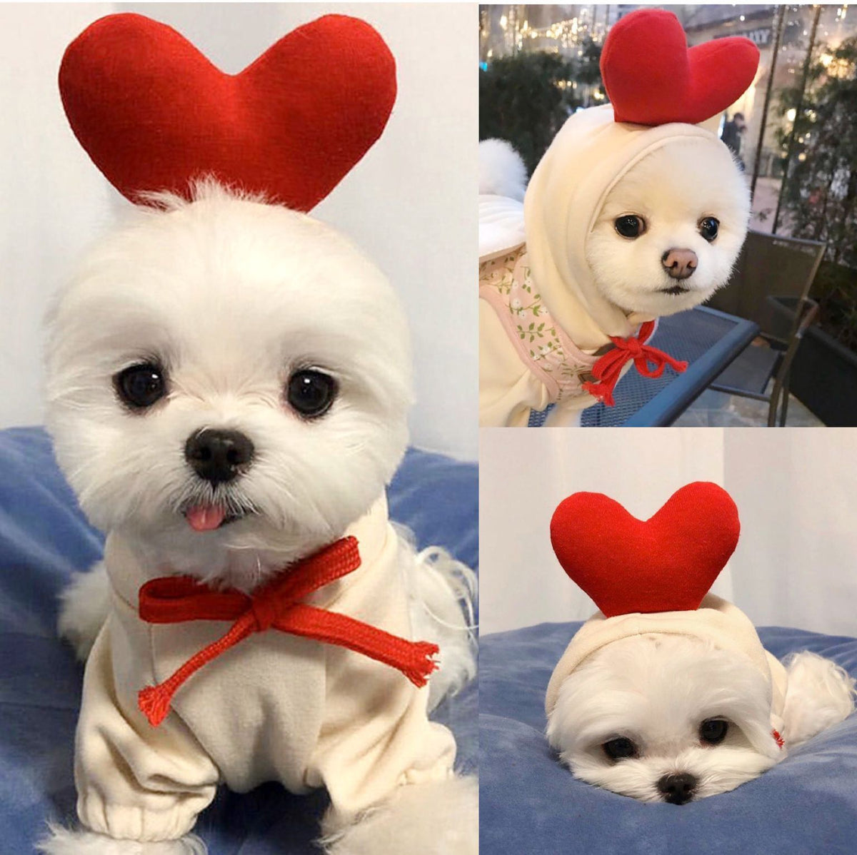 Niedliche Obst-Hundekleidung für kleine Hunde, Hoodies, warme Winter-Fleece-Haustierkleidung, Welpen-Katzenkostüm-Mantel für französische Chihuahua-Outfits