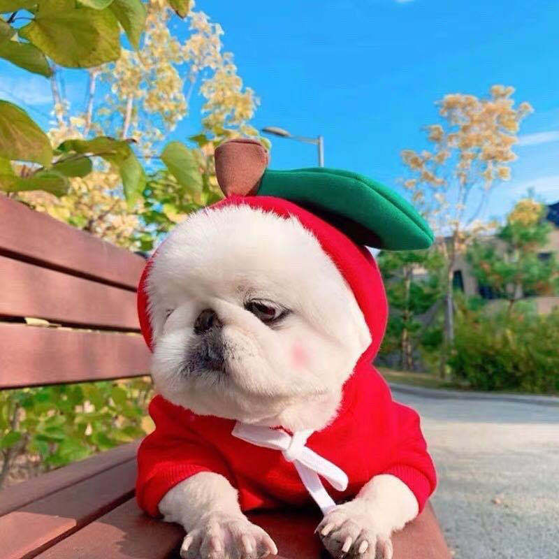 Niedliche Obst-Hundekleidung für kleine Hunde, Hoodies, warme Winter-Fleece-Haustierkleidung, Welpen-Katzenkostüm-Mantel für französische Chihuahua-Outfits