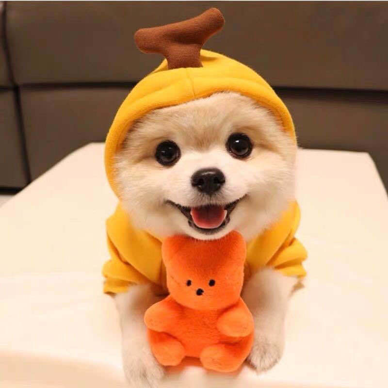 Niedliche Obst-Hundekleidung für kleine Hunde, Hoodies, warme Winter-Fleece-Haustierkleidung, Welpen-Katzenkostüm-Mantel für französische Chihuahua-Outfits