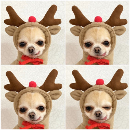 Niedliche Obst-Hundekleidung für kleine Hunde, Hoodies, warme Winter-Fleece-Haustierkleidung, Welpen-Katzenkostüm-Mantel für französische Chihuahua-Outfits