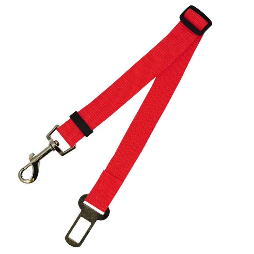 Correa de poliéster de correa fija para perro