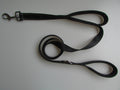 Pet Double Handle Pull Leash