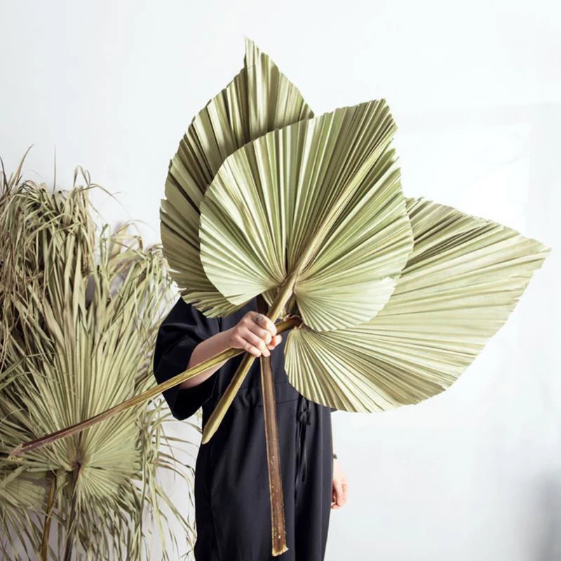 Palm Fan Leaf Palm Leaf Window Reception Party Art Wall Hanging Decoration Wedding Arch Arrangement
