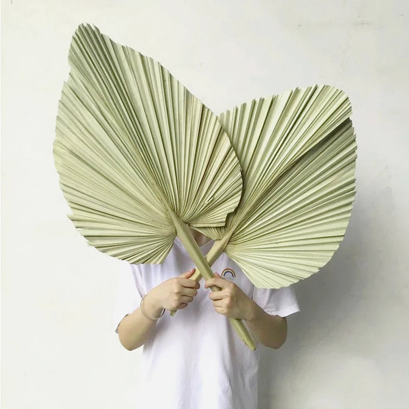 Palm Fan Leaf Palm Leaf Window Reception Party Art Wall Hanging Decoration Wedding Arch Arrangement