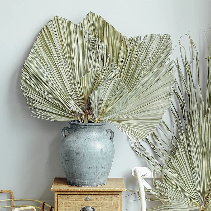 Palm Fan Leaf Palm Leaf Window Reception Party Art Wall Hanging Decoration Wedding Arch Arrangement