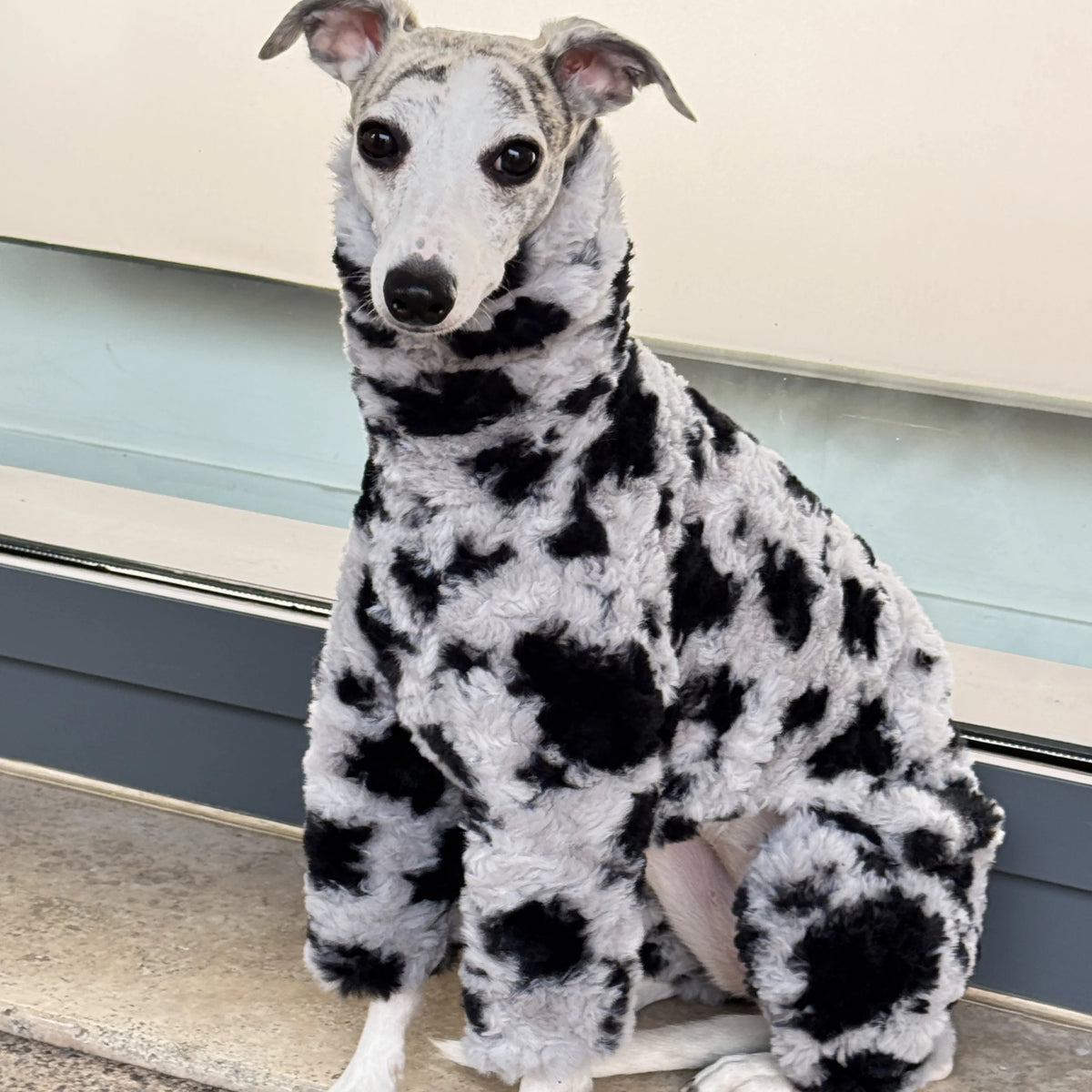 Pink Elegant Sweater for Dogs Winter Thick Soft 4-legged Fleece Coat for Italian Greyhound Warm High-neck Jumpsuit for Whippet