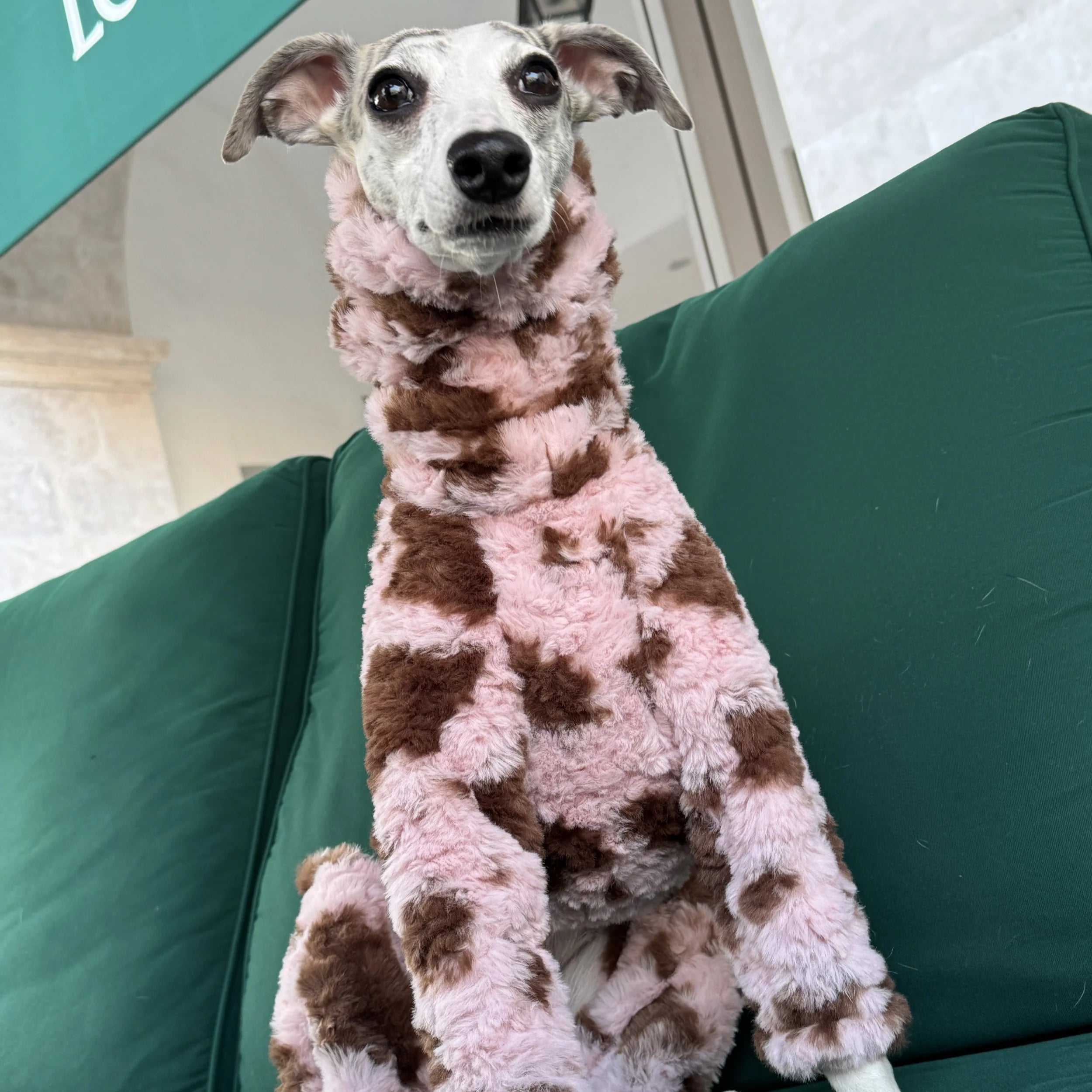 Pink Elegant Sweater for Dogs Winter Thick Soft 4-legged Fleece Coat for Italian Greyhound Warm High-neck Jumpsuit for Whippet