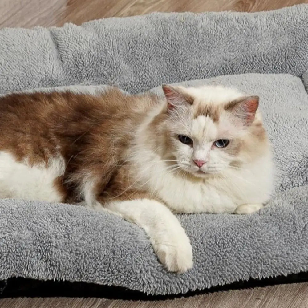 Warm Dog Bed Mat Surrounding Style Super Soft Pet Plush Pad Comfortable Non-slip Cat Cage Mattress for Cats and Dogs