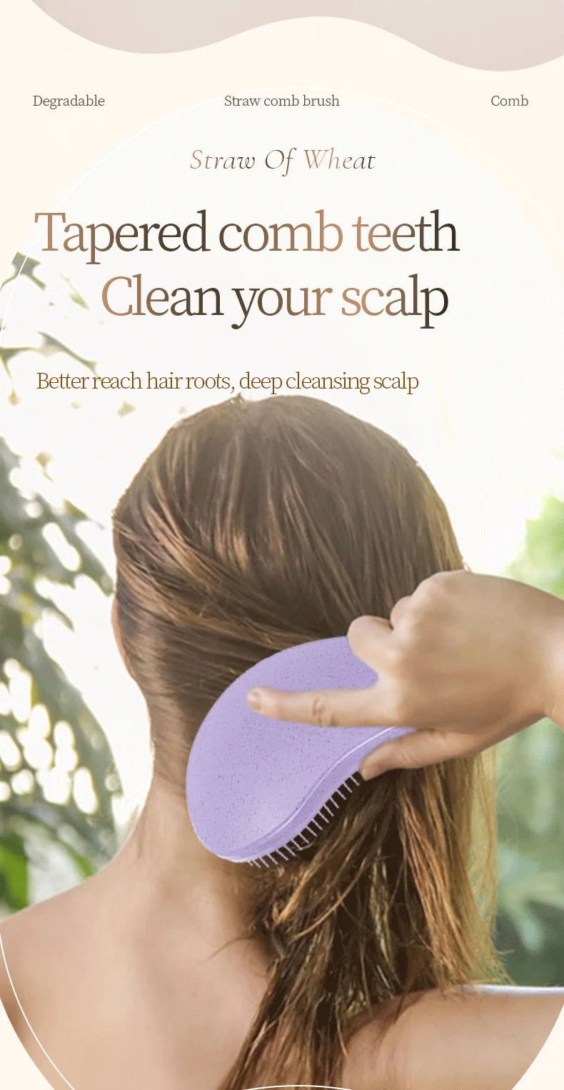 2pc Magic Detangling Boxed Comb Set  Anti-static Massage Hair Brushes Detangle Air Cushion Hairbrush Comb Festival Gift Box Comb