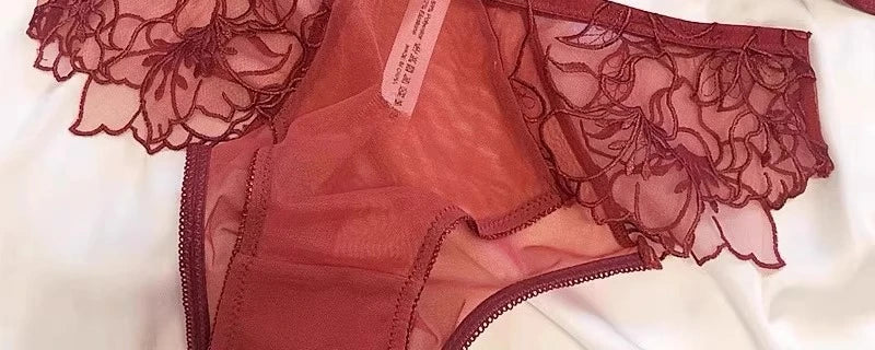 Sexy French Lace Bralette & Underwear Set, Lightweight Wireless Triangle Cup Bra for Women, Pure Elegant Small Boobs S-XL MOYISU