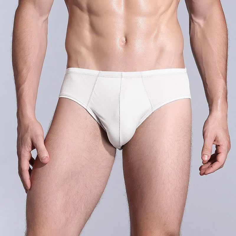 BirdTree 2PCS Men's Sexy Underwear, 100% Natural Silk Panties, Breathable, U-Convex Design, Elastic Biefs, 2026 New U34605C