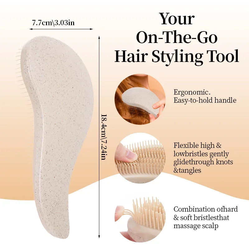2pc Magic Detangling Boxed Comb Set  Anti-static Massage Hair Brushes Detangle Air Cushion Hairbrush Comb Festival Gift Box Comb