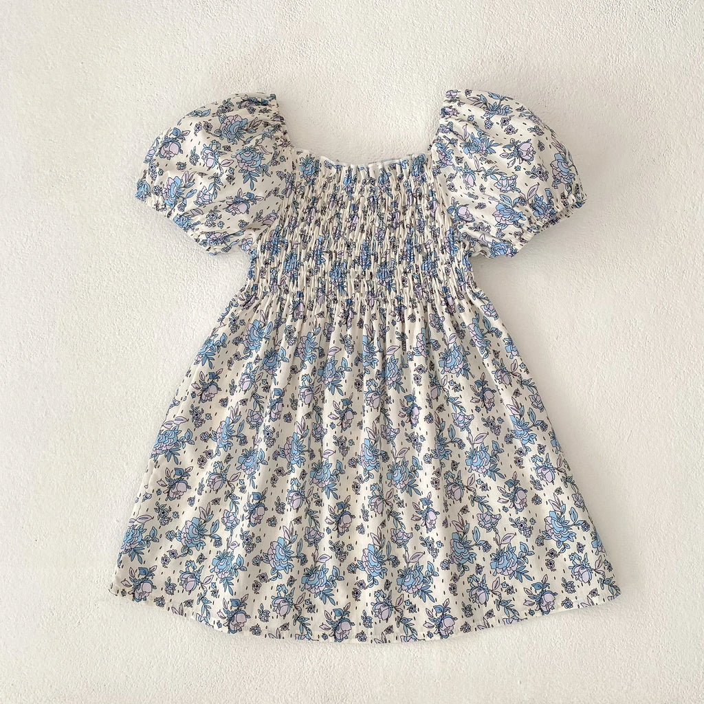 Toddler Girls Floral Princess Dress Little Girl Cotton Short Sleeve Blue Flowers Party Dress Summer Casual Dresses Kids Clothes