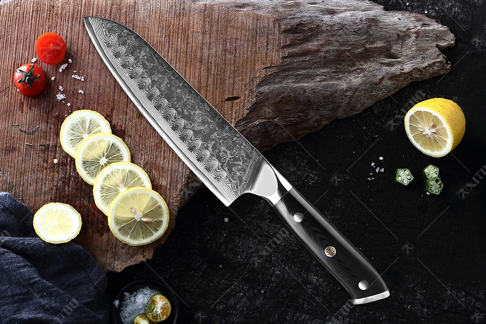 XITUO Professional Damascus steel kitchen knife 67-layer high carbon stainless steel ultra-sharp multi-functional cooking knife