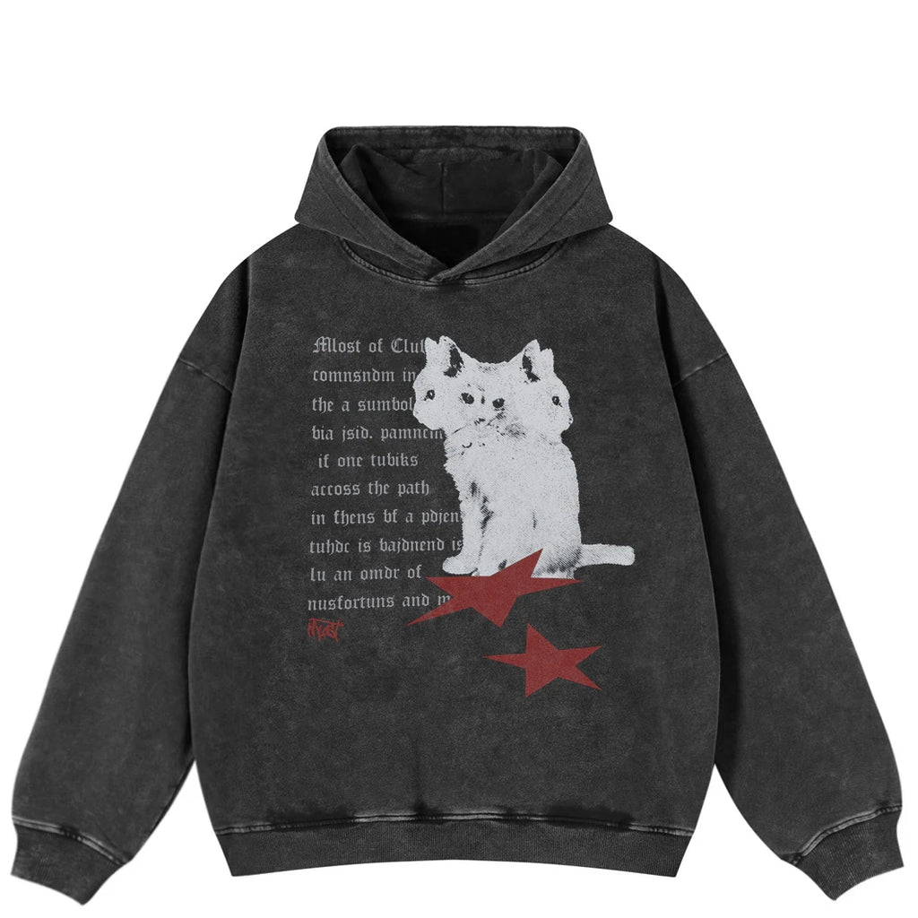 2025 Hip Hop Oversize Hoodie Sweatshirt Men Streetwear Funny Doberman Dog Animal Graphic Harajuku Washed Black Hooded Pullover