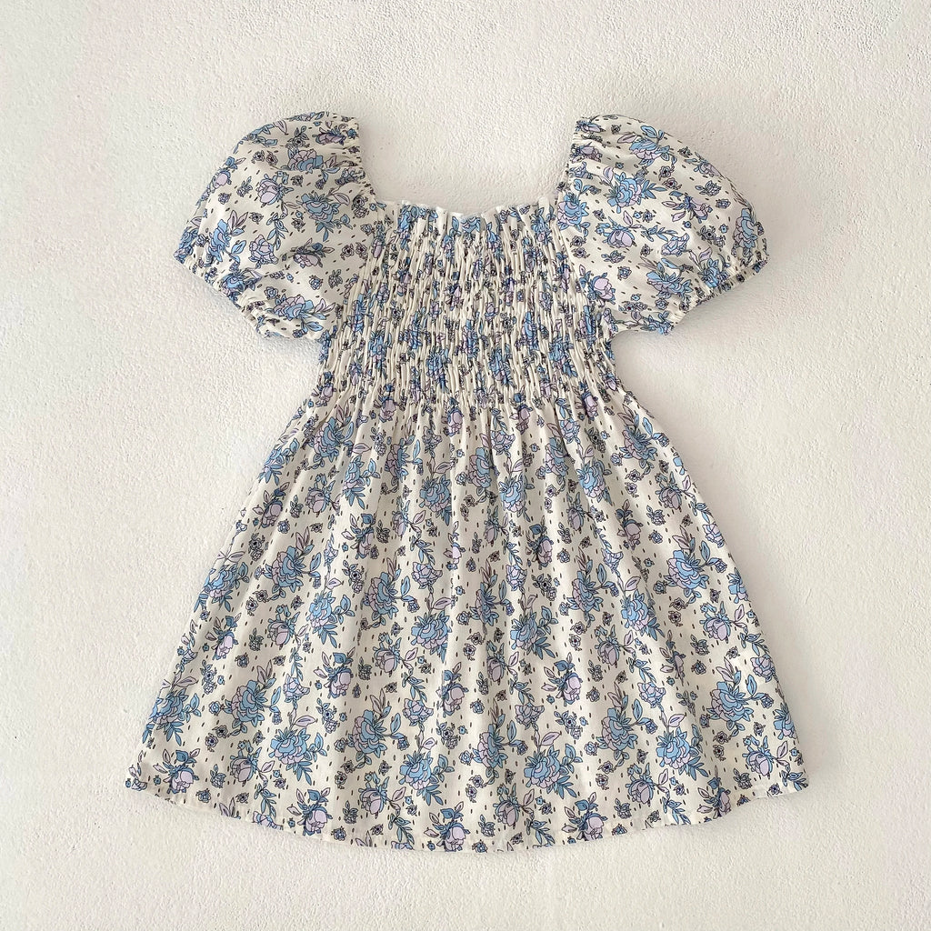 Toddler Girls Floral Princess Dress Little Girl Cotton Short Sleeve Blue Flowers Party Dress Summer Casual Dresses Kids Clothes