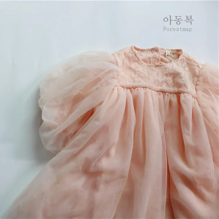 deer jonmi New 2026 Spring Children Princess Dresses Lantern Sleeve Floral Embroidery Baby Girls Birthday Party Ball Gown Dress