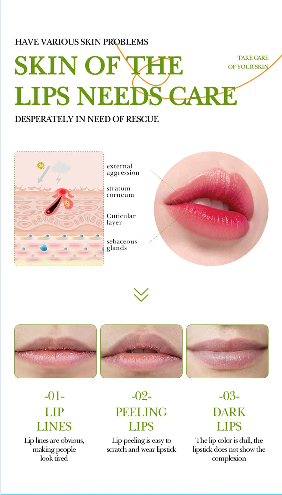 Aloe Vera Lip Balm+Hand Cream Dry Skin Moisturizing Lipstick Hand Cream Compact And Portable, Keep Skin Moist Shiny At All Times