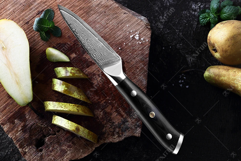 XITUO Professional Damascus steel kitchen knife 67-layer high carbon stainless steel ultra-sharp multi-functional cooking knife