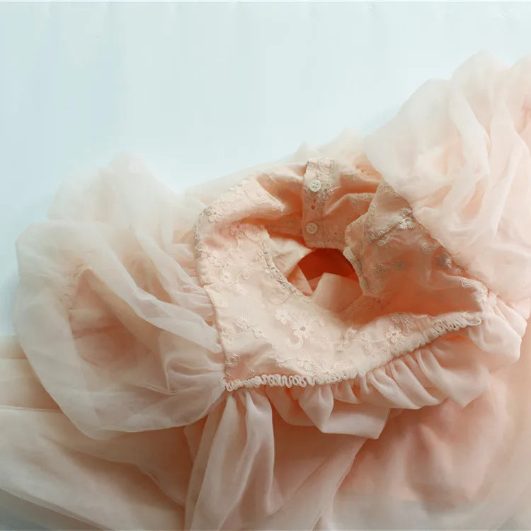 deer jonmi New 2026 Spring Children Princess Dresses Lantern Sleeve Floral Embroidery Baby Girls Birthday Party Ball Gown Dress