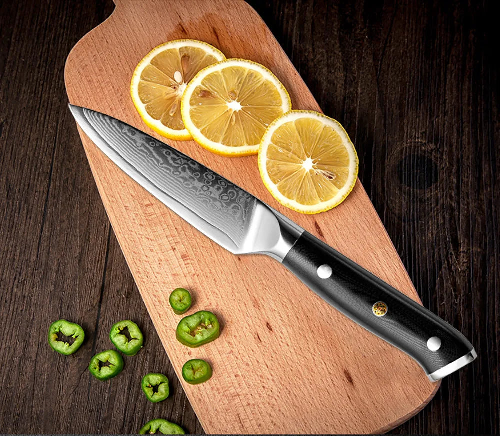 XITUO Professional Damascus steel kitchen knife 67-layer high carbon stainless steel ultra-sharp multi-functional cooking knife