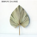 Palm Fan Leaf Palm Leaf Window Reception Party Art Wall Hanging Decoration Wedding Arch Arrangement