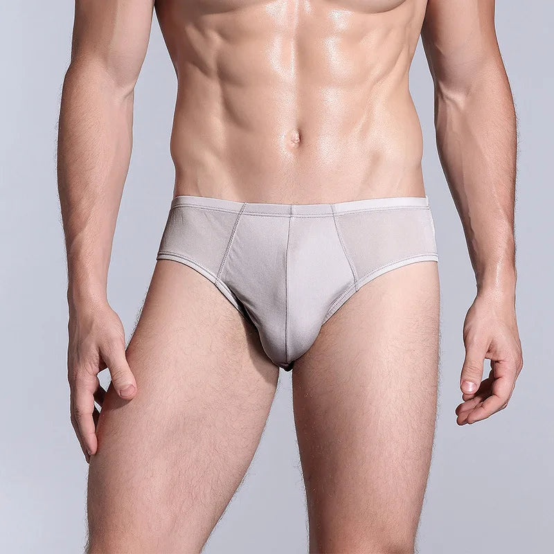 BirdTree 2PCS Men's Sexy Underwear, 100% Natural Silk Panties, Breathable, U-Convex Design, Elastic Biefs, 2026 New U34605C