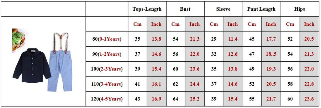 Spring Toddler Boy Clothes Gentleman Baby suits Long Sleeves Shirt+Pants Two-Piece Kids Boys Children Clothing Set Autumn BC1108