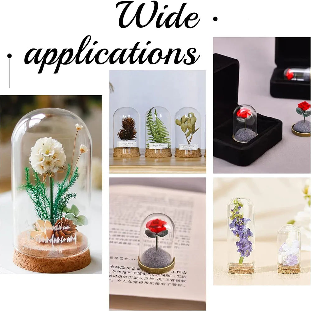 Glass cloche Jar, Display Dome Base Mini Glass Bottles/Jars Display Case for Flower Storage Home Party Favor Decoration