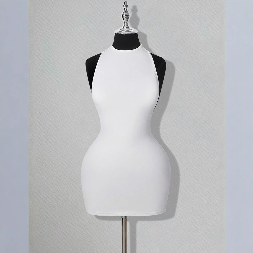Sheer Low-cut Backless Hip-hugging Dress